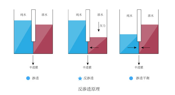 龙8-long8(中国)唯一官方网站_image1763